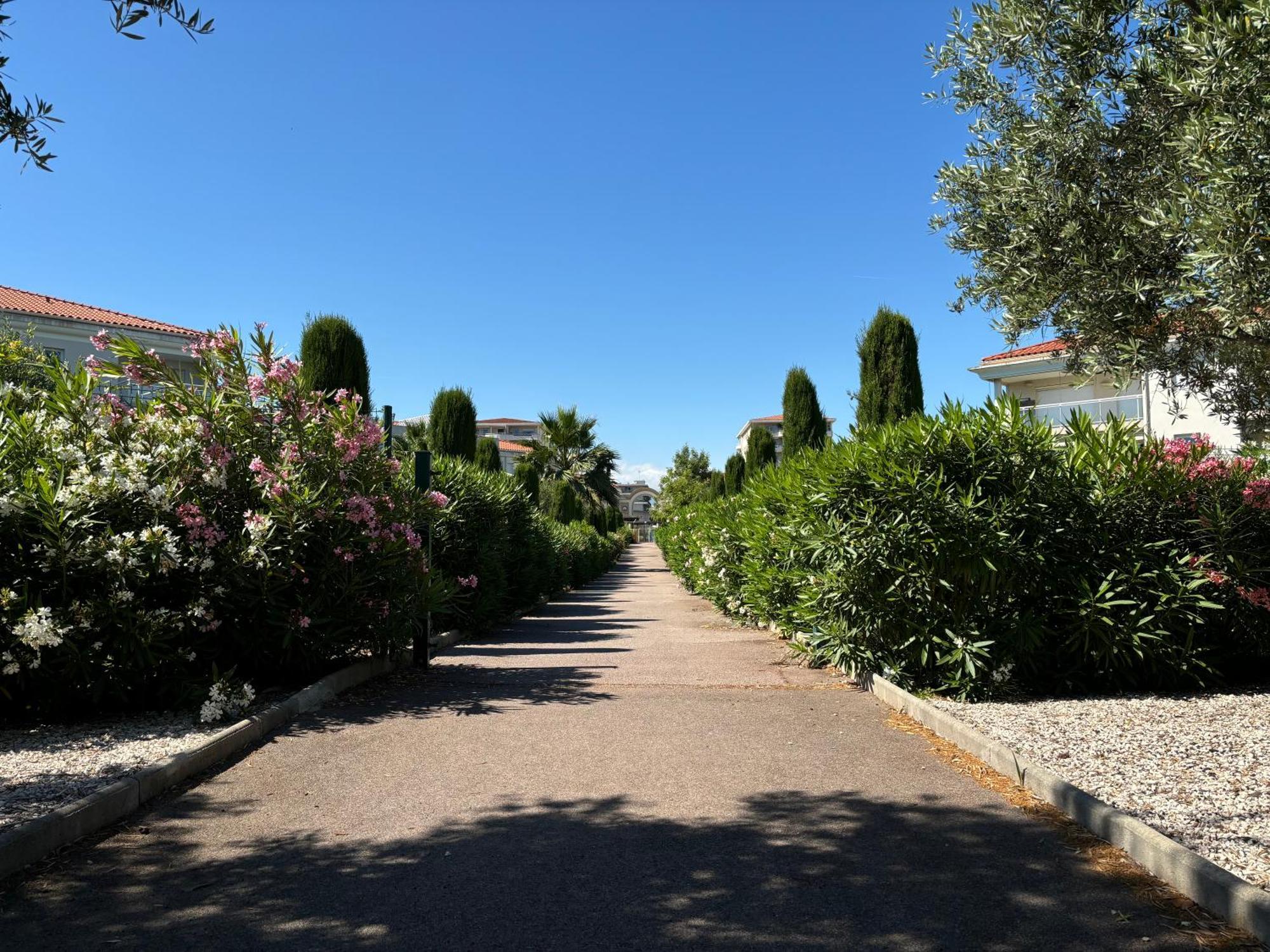 Beachside Apartment With Pool & Garden In Juan Les Pins Αντίμπ Εξωτερικό φωτογραφία